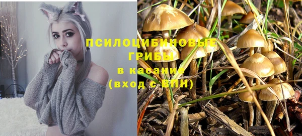 2c-b Мегион