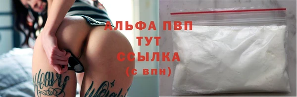 крисы Медногорск
