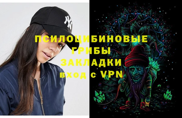 крисы Медногорск