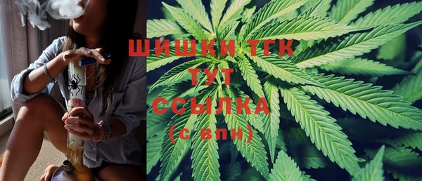 2c-b Мегион