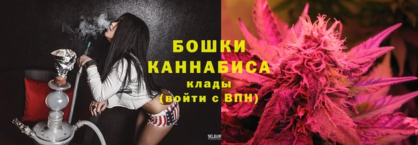 крисы Медногорск