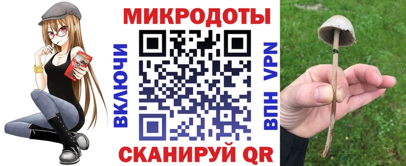 Галлюциногенные грибы Cubensis  Горячеводский 